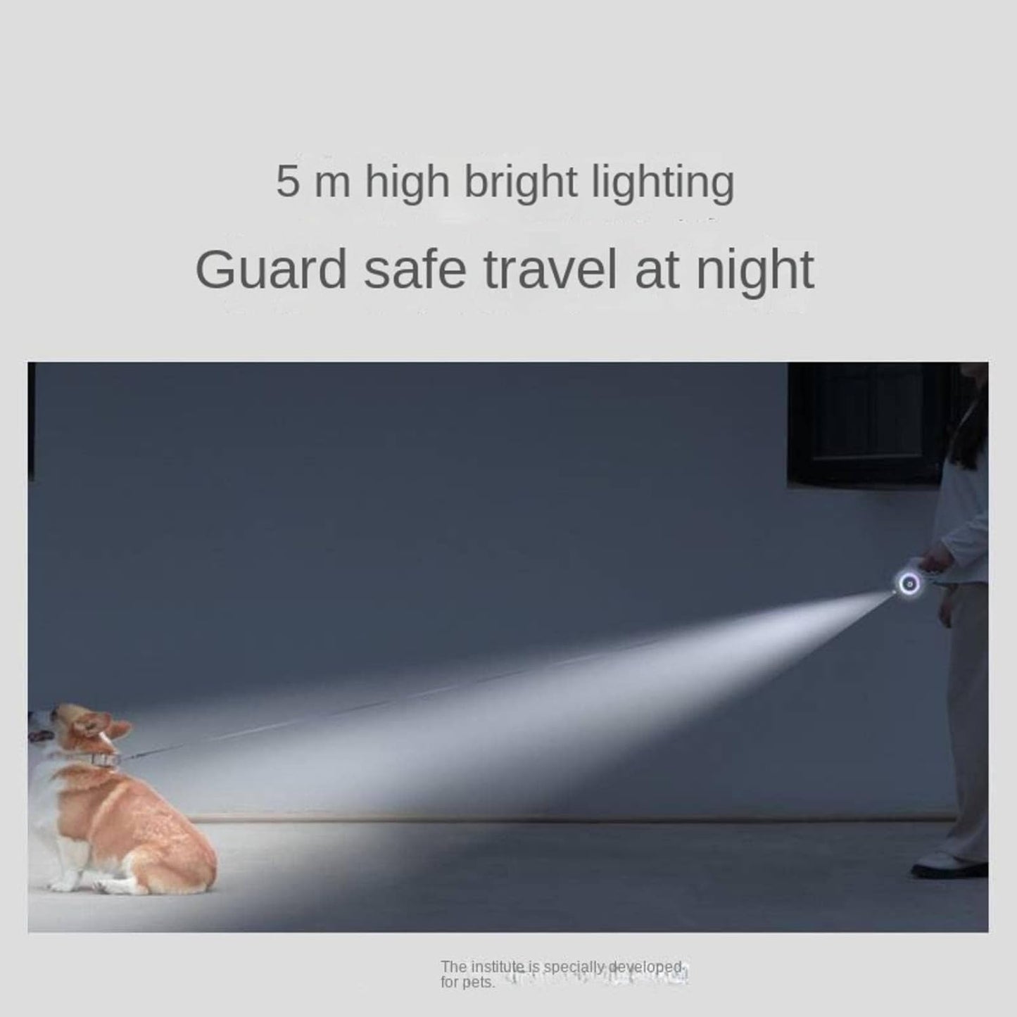 Dog Leash with Lock Button | 5m Auto Extend Pet Leash